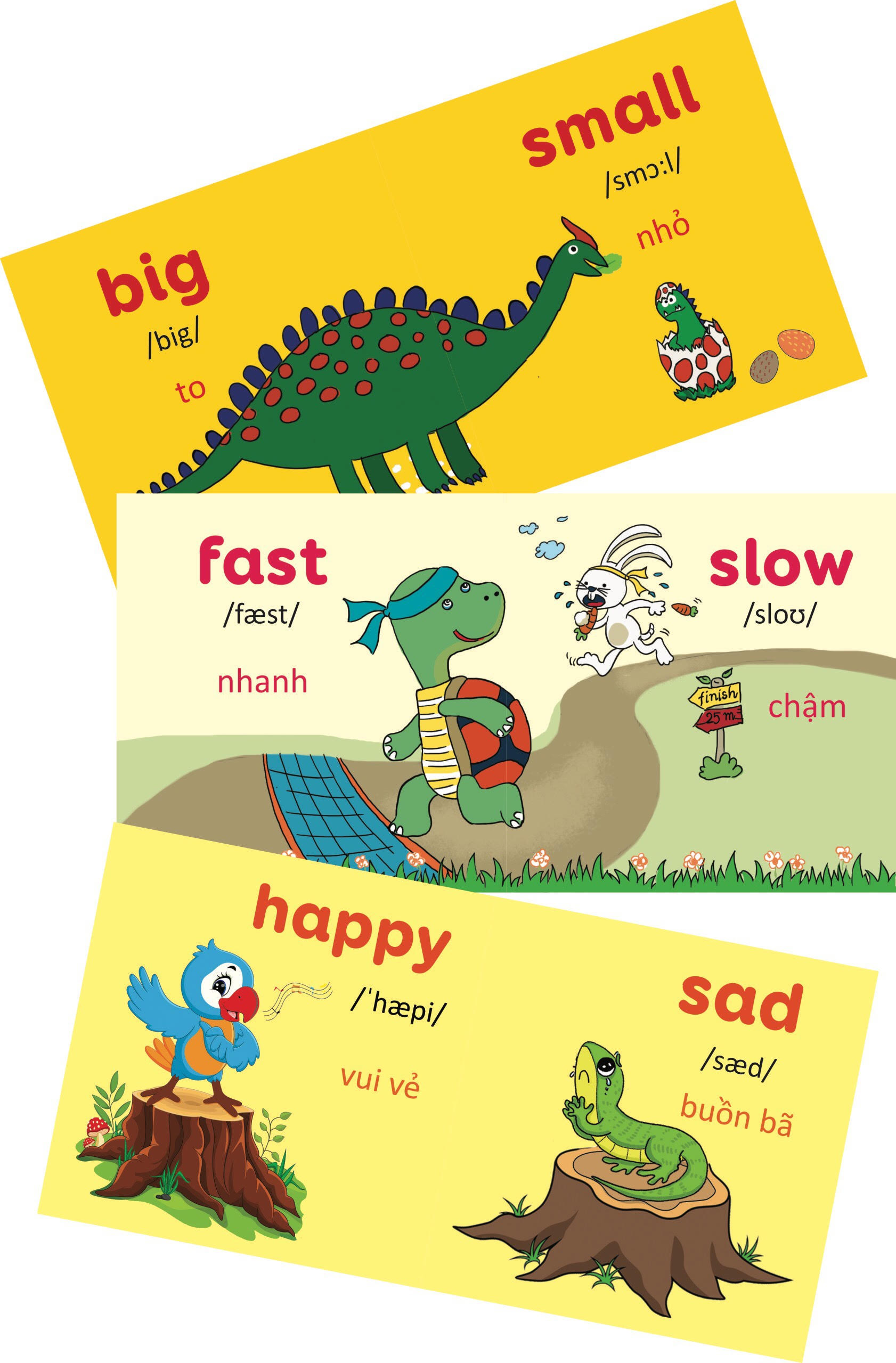 Trọn bộ Thư viện hình ảnh đầu tiên cho bé - Hộp 8 cuốn