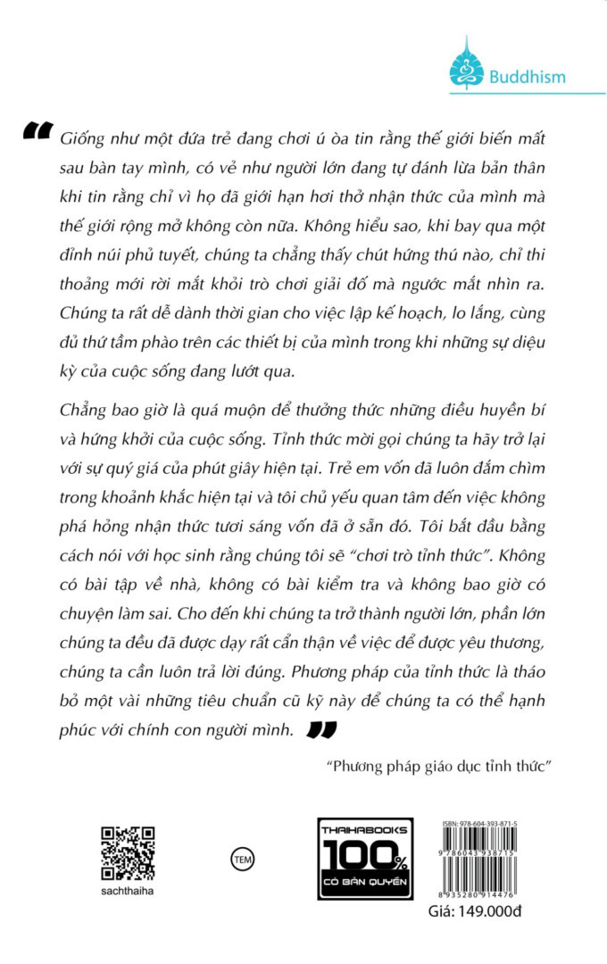 Giáo Dục Tỉnh Thức - Daniel Rechtschaffen - Kiều Anh Tú dịch -