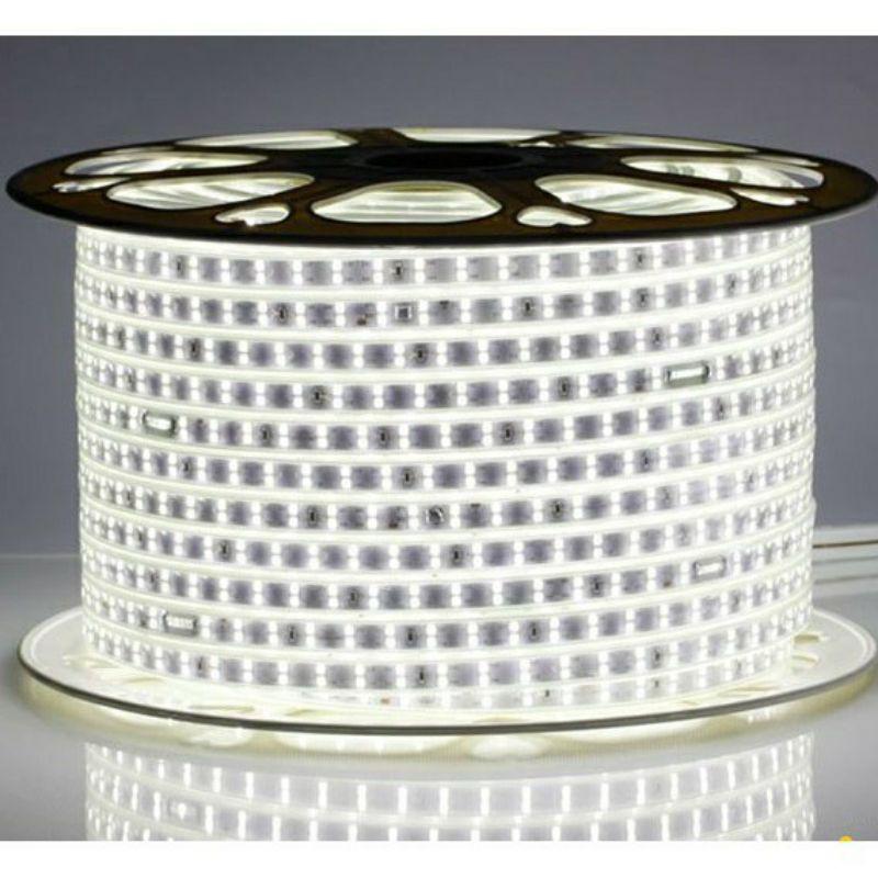 Led cuộn 2835 100 m 2 đường bóng