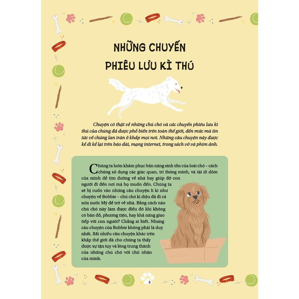 Câu Chuyện Về Loài Chó - Bản Quyền