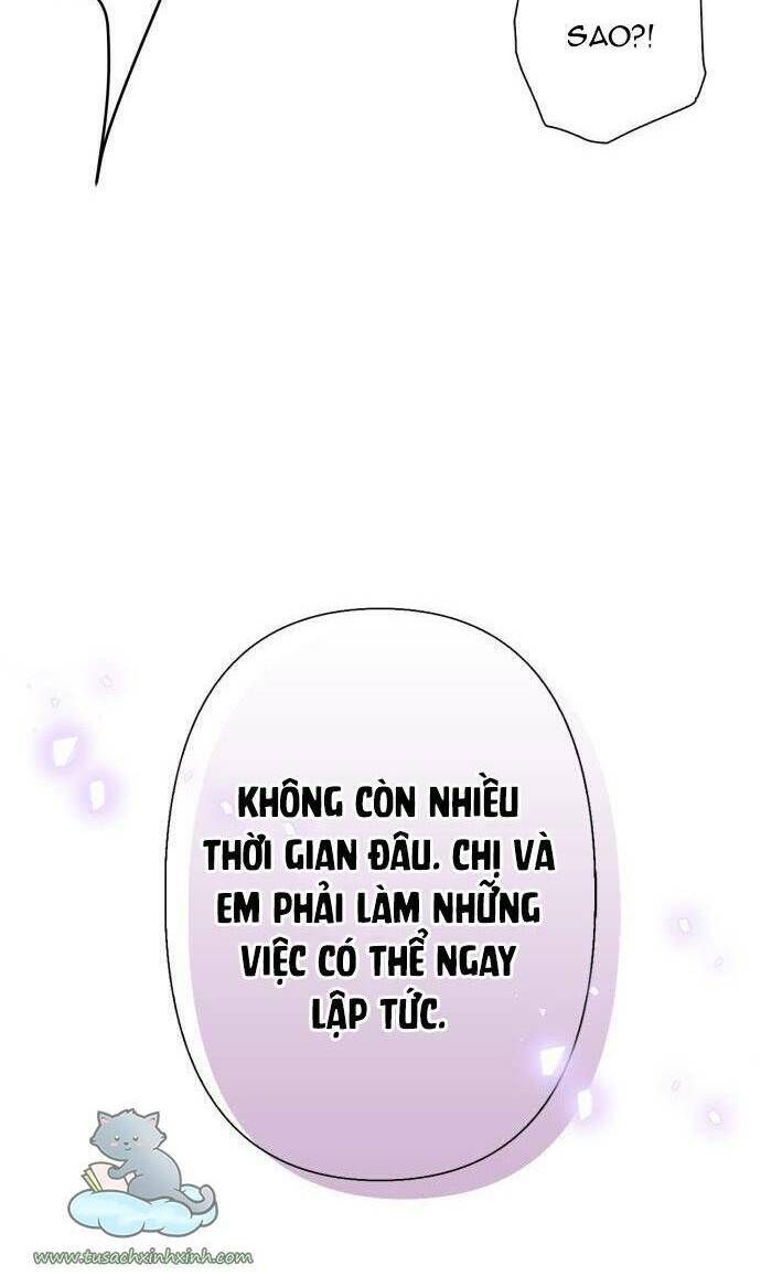 tôi đang nuôi dưỡng một con quái thú chapter 76 87