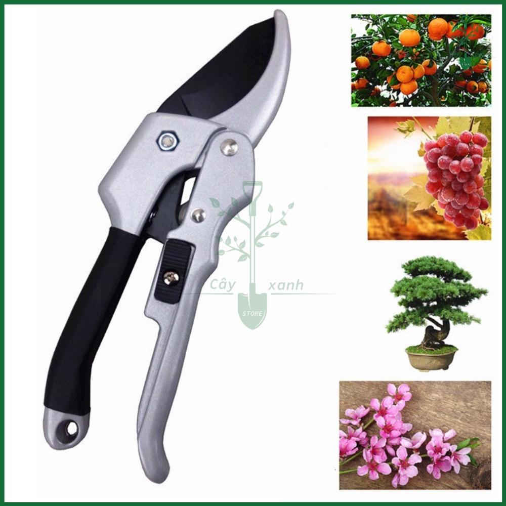 Kéo Cắt Tỉa Cành Cây, Kìm Tỉa Cây Cao Cấp, Cắt Tỉa Bonsai