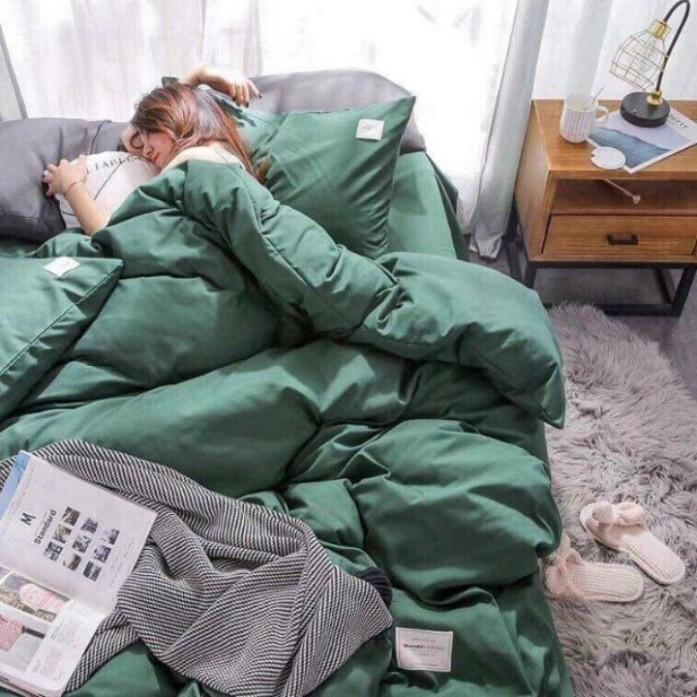 Bộ 5 Món Chăn Trần Bông Ga Gối Cotton Tici Xuất Nhật Beauty Màu Trơn - Màu Xanh - LAN PHAM BEDDING