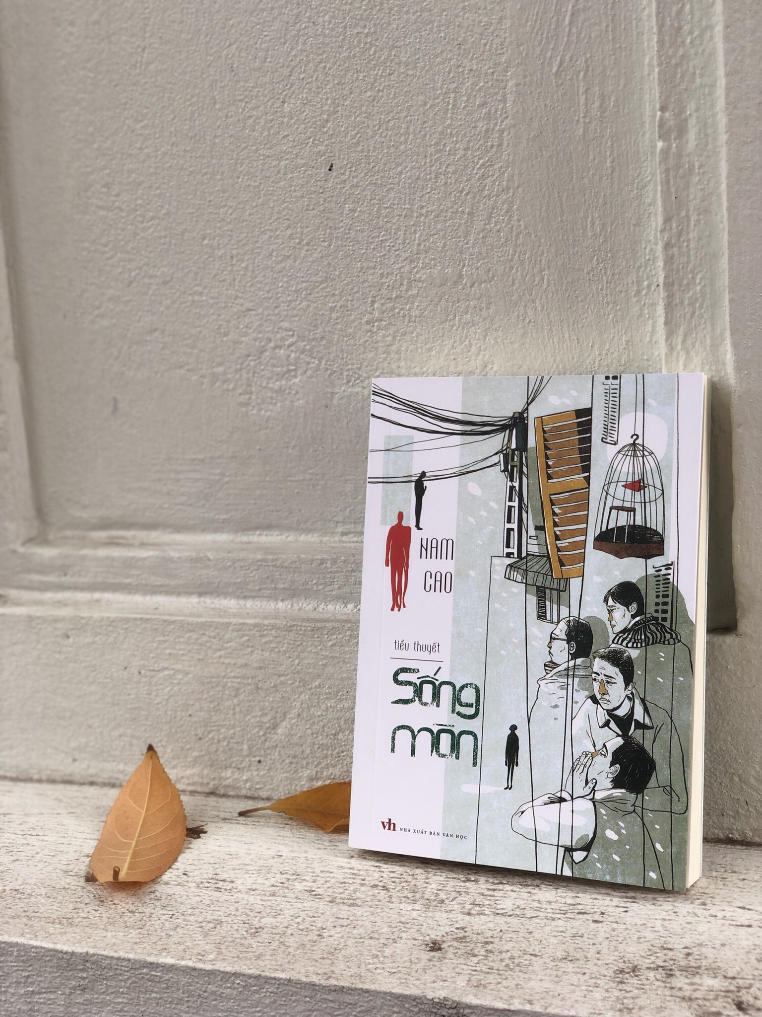 Sách: Tiểu Thuyết Sống Mòn