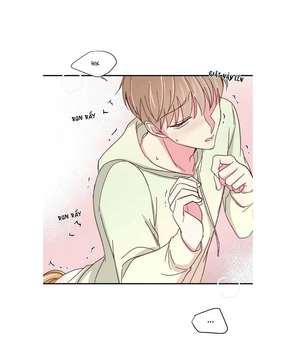 món tráng miệng của sếp tổng chapter 59 12