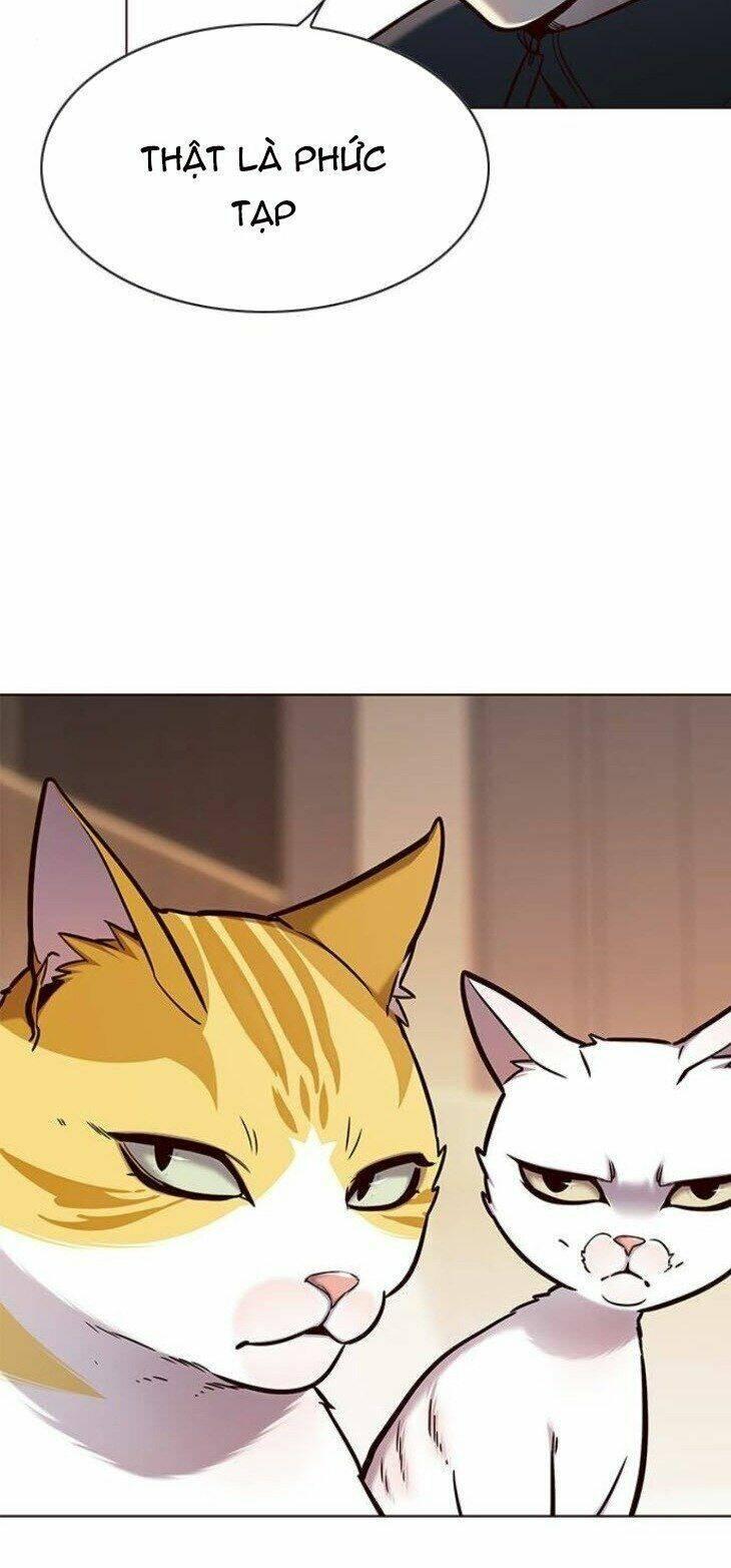 biến thân thành mèo chapter 146 50