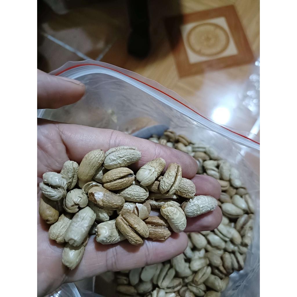 Hạt giống chà là kiểng - chà là cảnh | 500 gram/gói