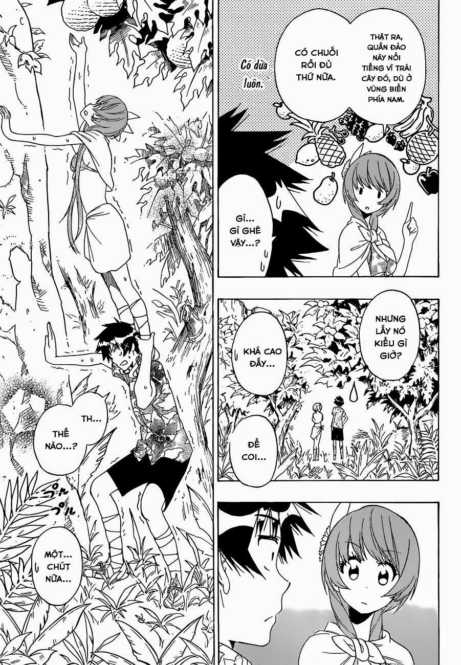 nisekoi - tình yêu giả tạo chapter 170 16