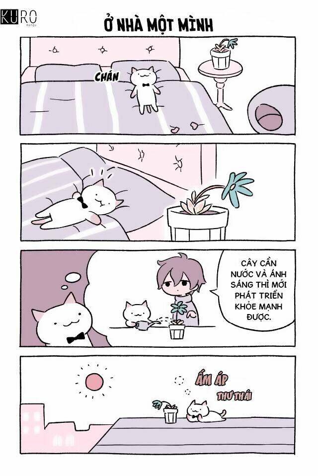 chú mèo kỳ diệu kyuu-chan chapter 28 2