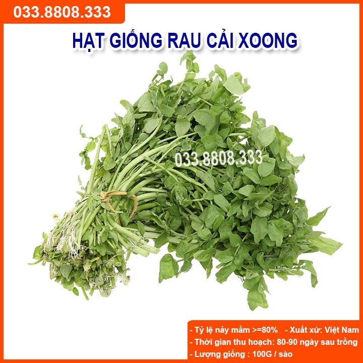 Hạt Giống Rau Cải Xoong Giàu Dinh Dưỡng