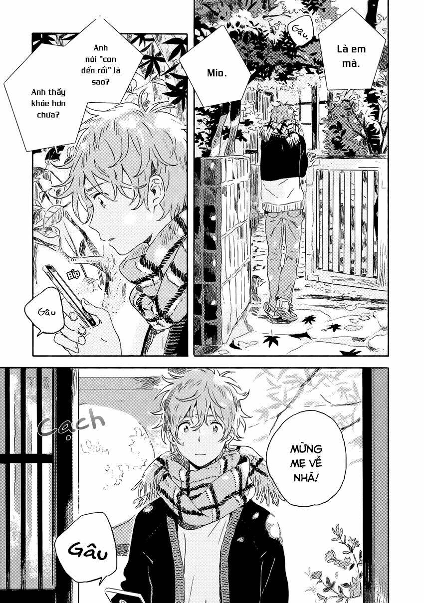 người lạ dưới gió xuân chapter 2 38