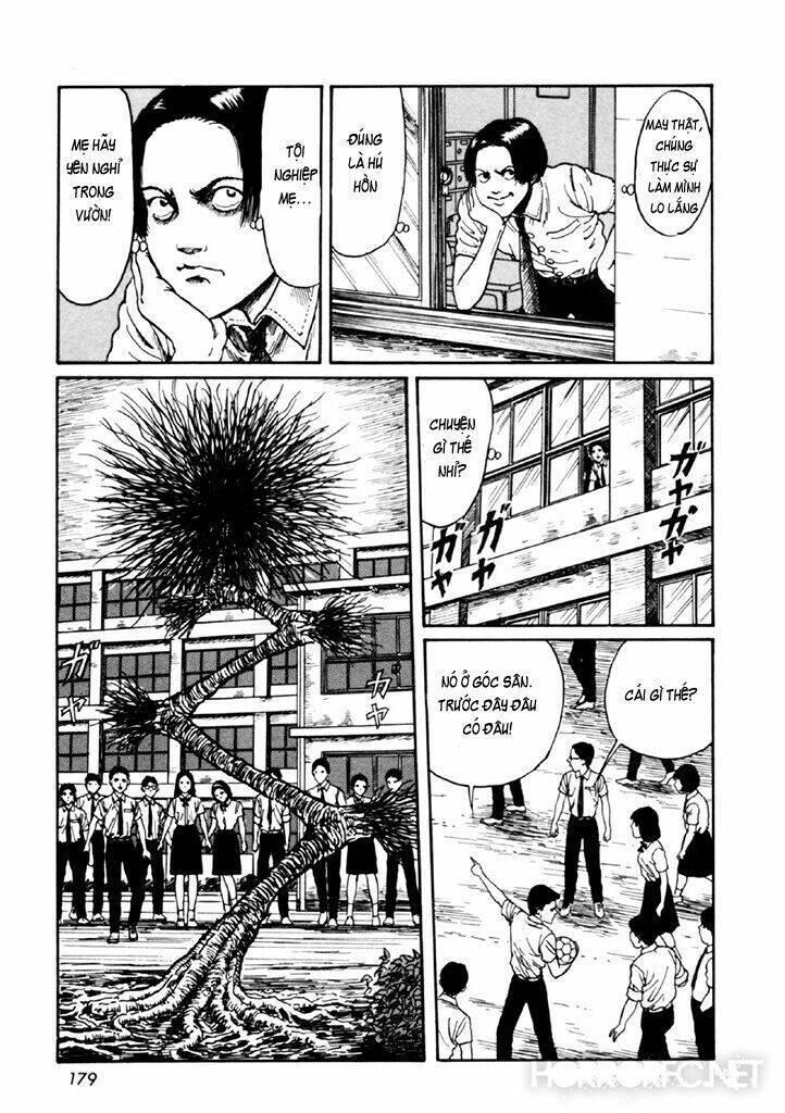 tuyển tập truyện ngắn kinh dị của ito junji chapter 14.4 45