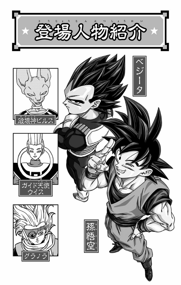 Dragon Ball Super 19 (Japanese Edition)