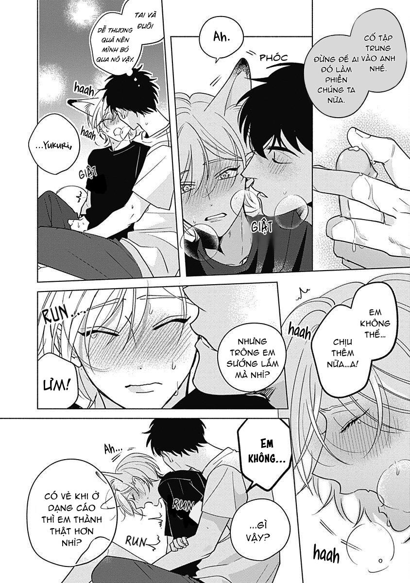 chiếm hữu bởi linh hồn cáo chapter 5.5 11