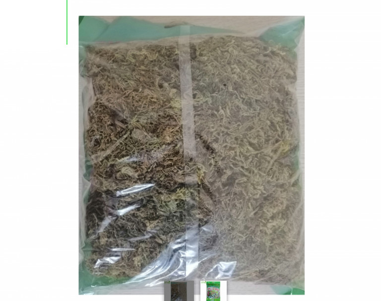 RÊU RỪNG - GIÁ THỂ TRỒNG LAN