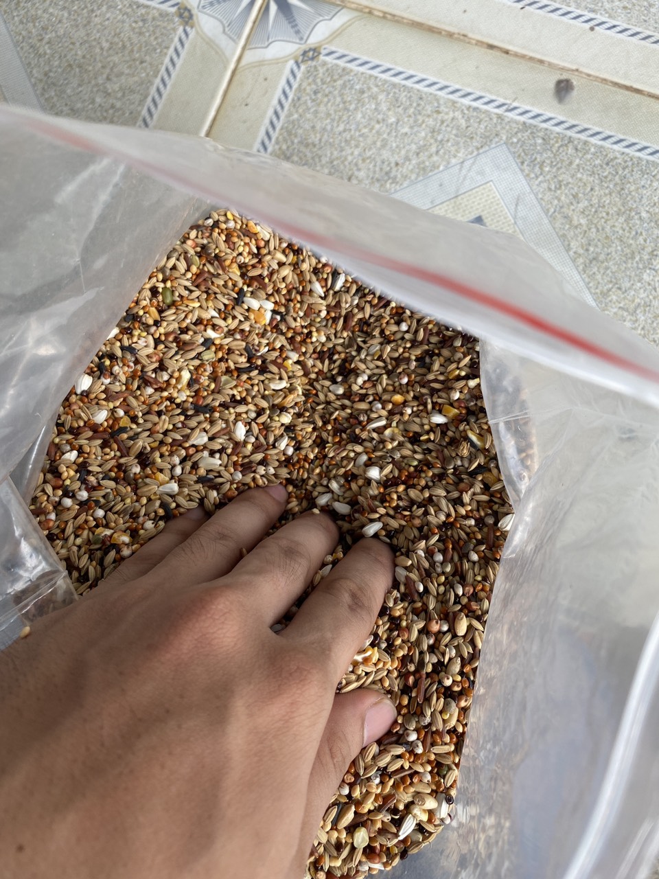 2kg hạt 15 loại ngũ cốc thiên nhiên 100% tăng cường dinh dưỡng giú chim cu cực sung