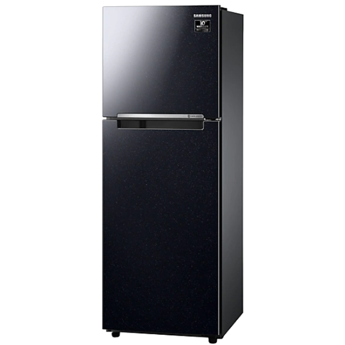 Tủ lạnh Samsung Inverter 256 lít RT25M4032BU/SV- Hàng chính hãng