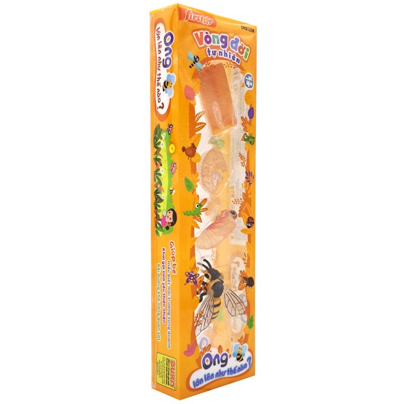 Đồ Chơi Mô Hình Vòng Đời Tự Nhiên - Ong Lớn Lên Như Thế Nào? - Firstar DK81258