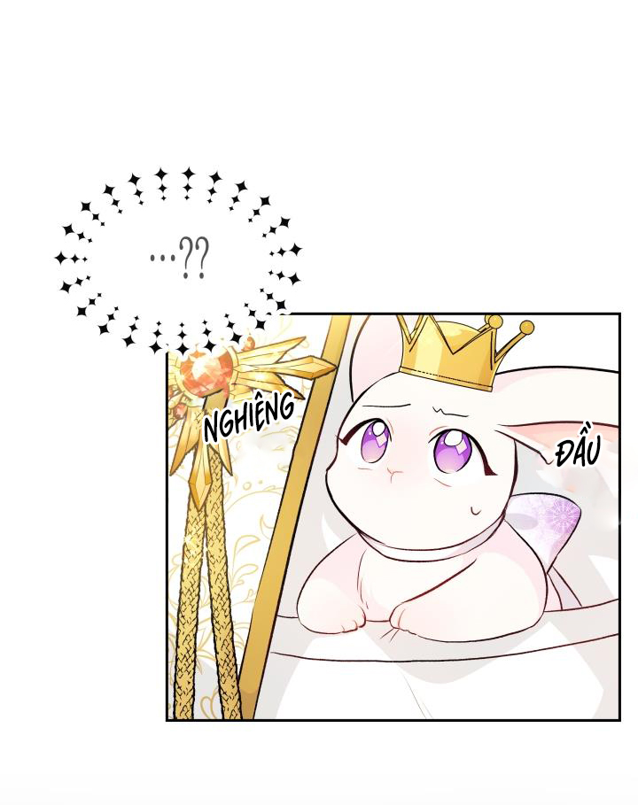 mối liên kết giữa báo đen và bé thỏ chapter 18 21