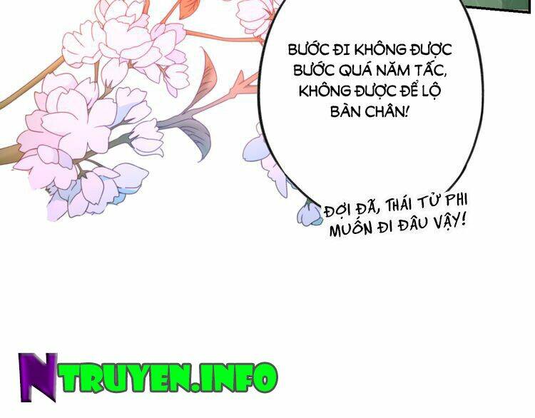 hoa nhan sách chapter 3.1 27