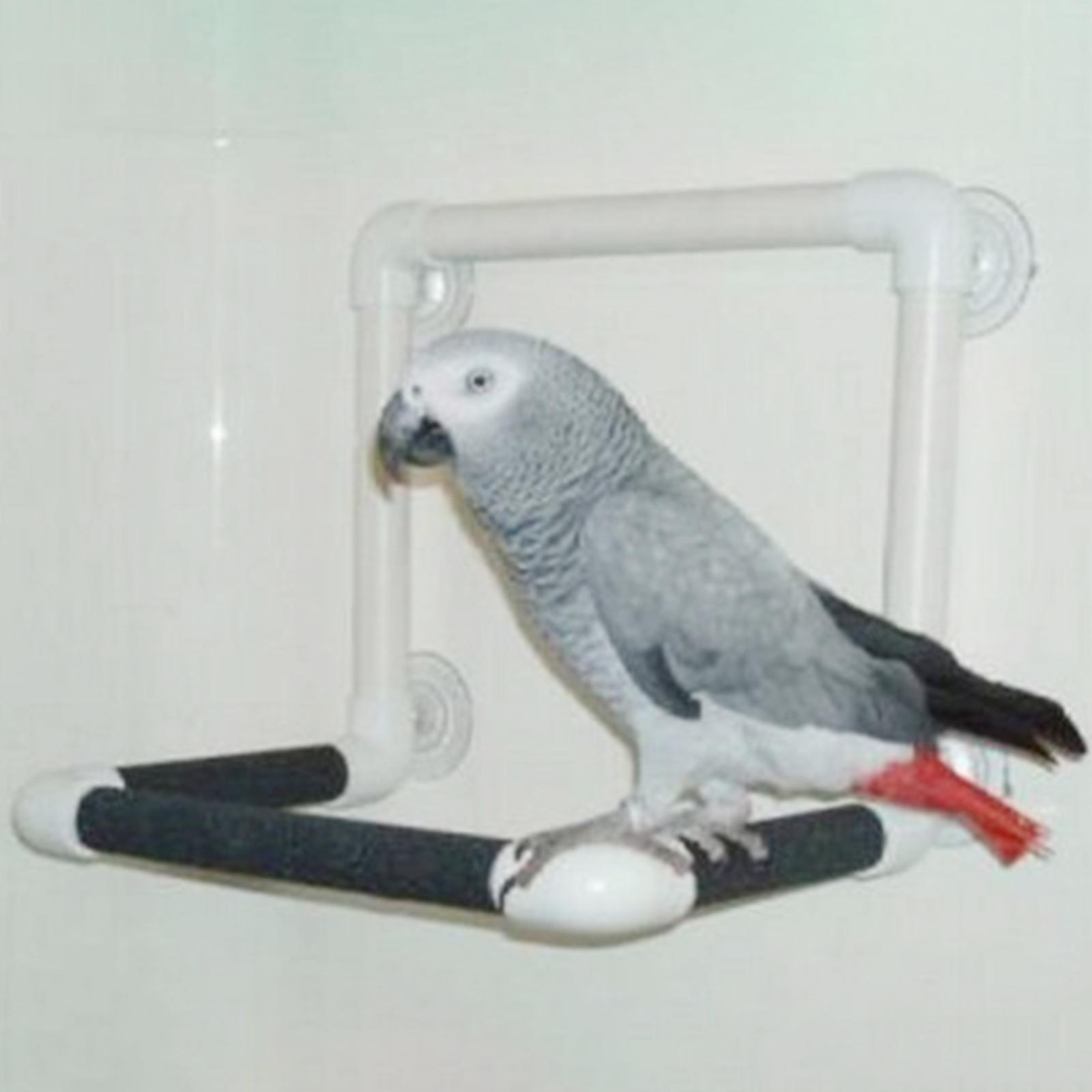 Bird Perch Stand Parrot Shower Stand Suction Cup Standing Toy Window Play