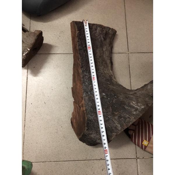 Lũa ghép lan Quảng Trị dài 40cm, rộng 20cm, cao 10cm
