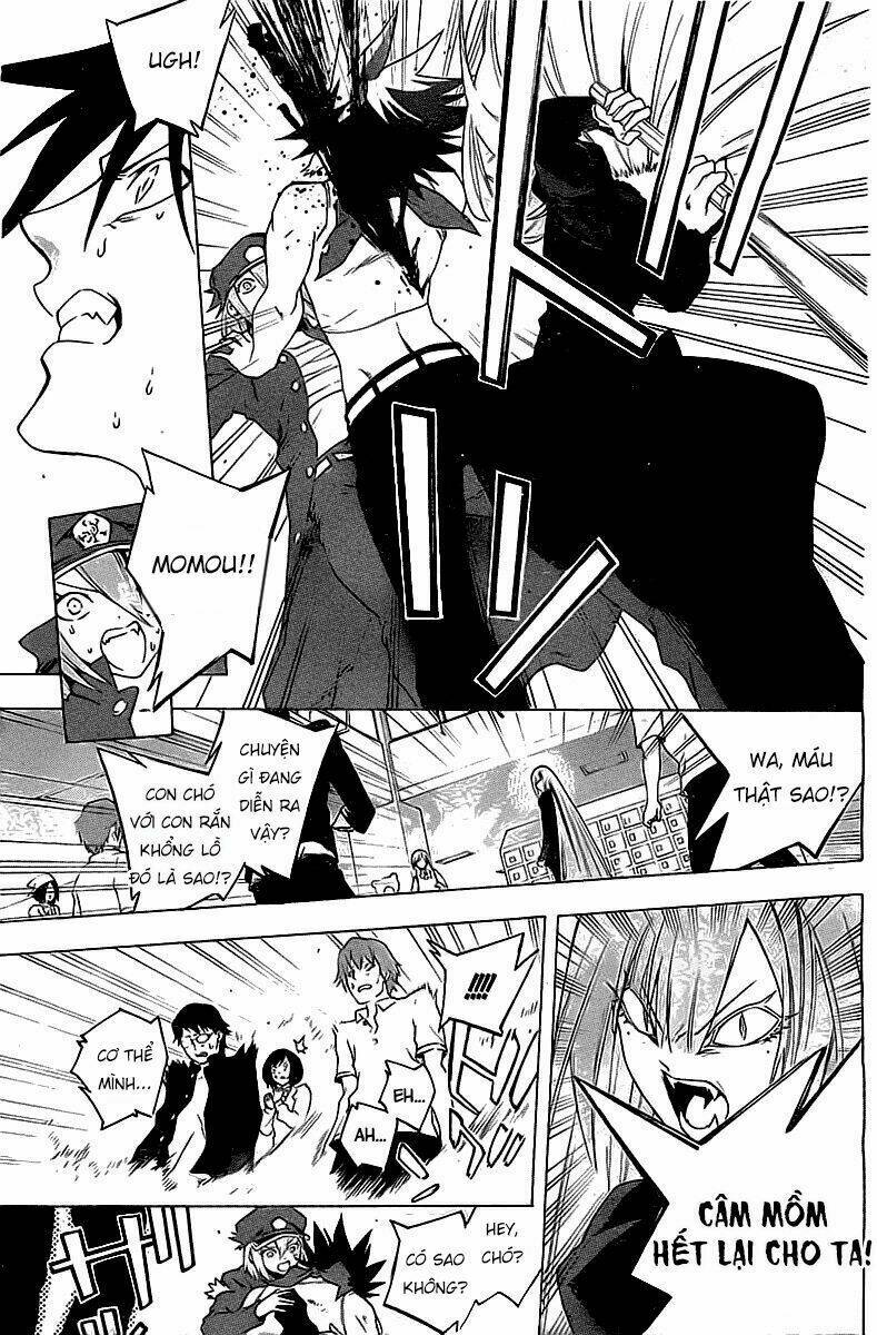 binbougami ga! chapter 70 25