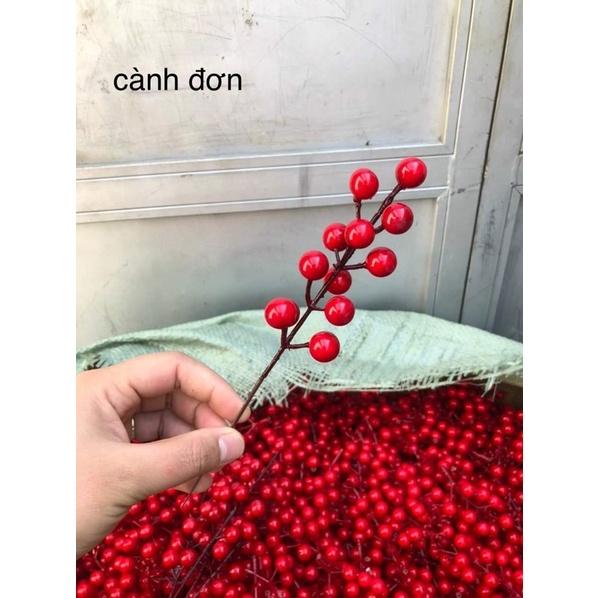Cành đào đông đỏ