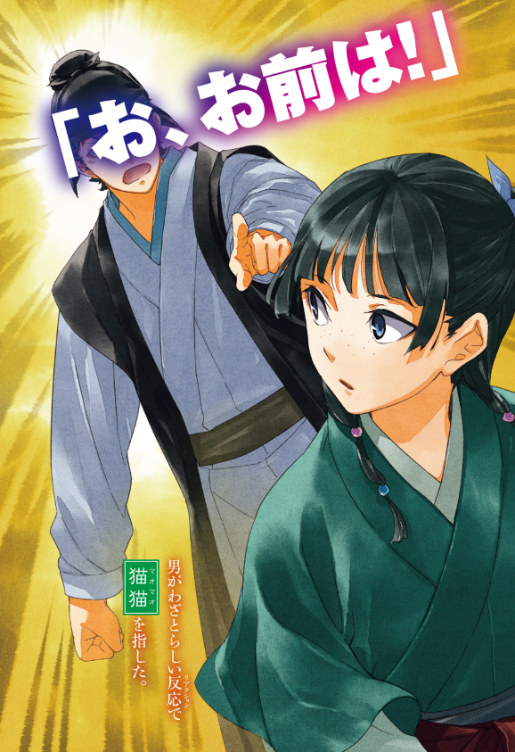 Sách ngoại văn: The Apothecary Diaries 10 (Light Novel) (Japanese Edition)