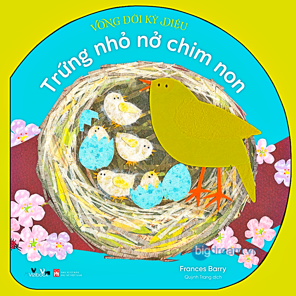 Vòng đời kỳ diệu Trứng nhỏ nở chim non - Sách Tương tác lật mở cho bé từ 3-6 tuổi