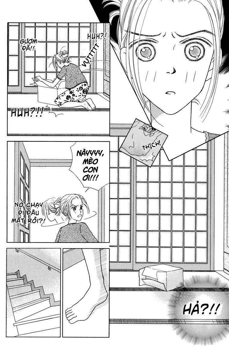 cuộc sống thường nhật của mèo zaccho chapter 1.5 24