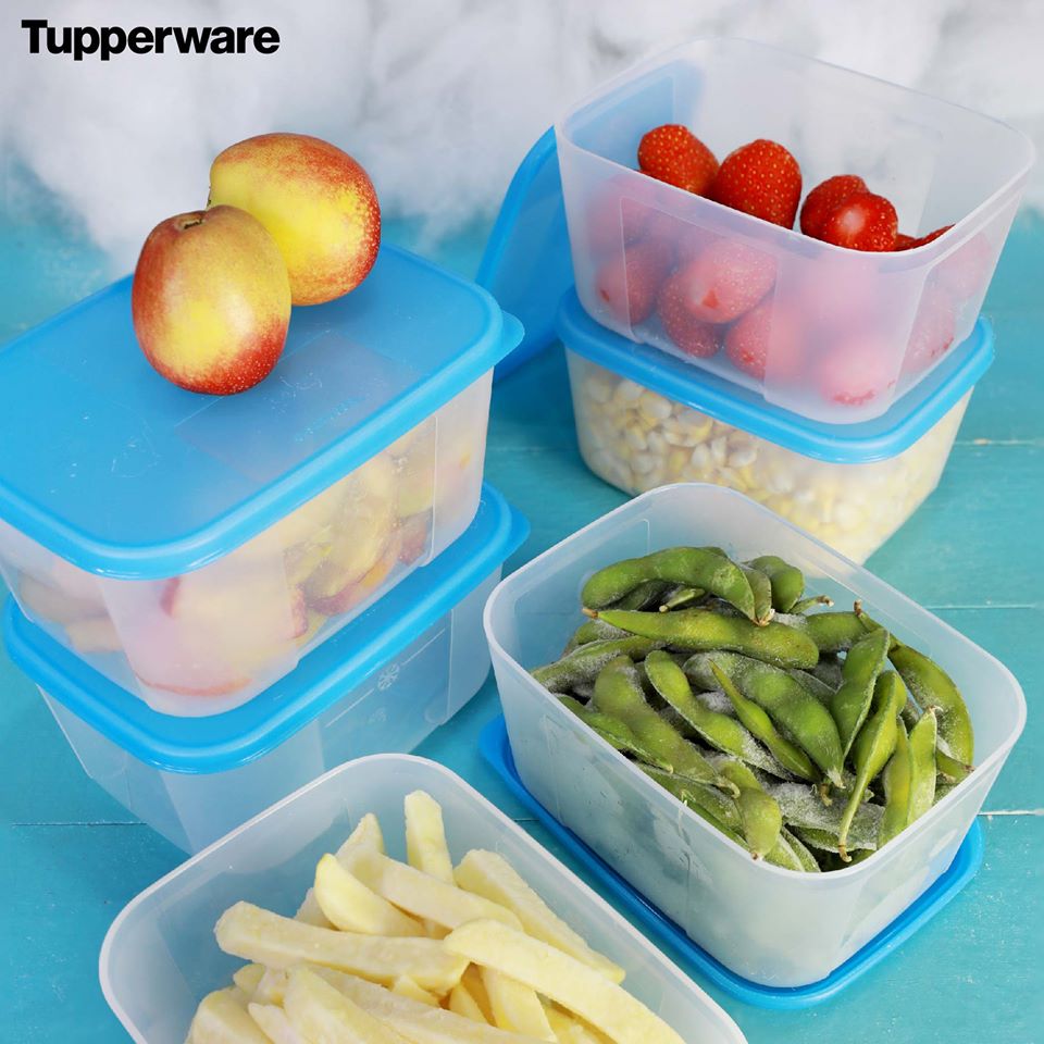 Bộ Hộp Trữ Đông Freezermate 650ml 6 Hộp Tupperware, Hộp Trữ Thực Phẩm, Nhựa Nguyên Sinh An Toàn