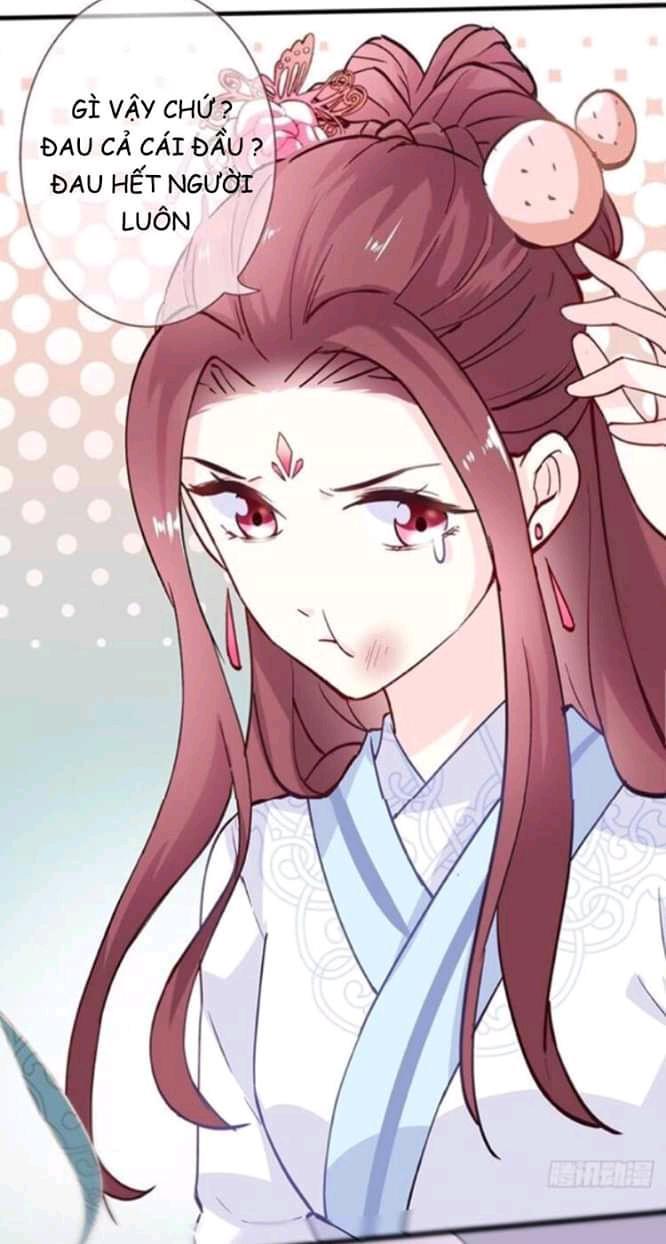 vương phi - âm động thiên hạ chapter 2 6