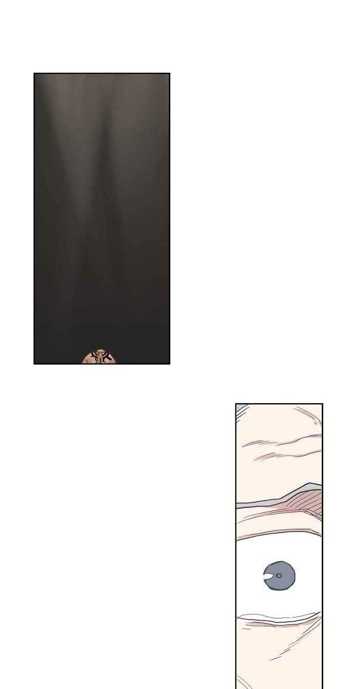 Võ Sĩ Quyền Anh chapter 18 43