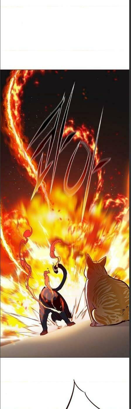 biến thân thành mèo chapter 162 29