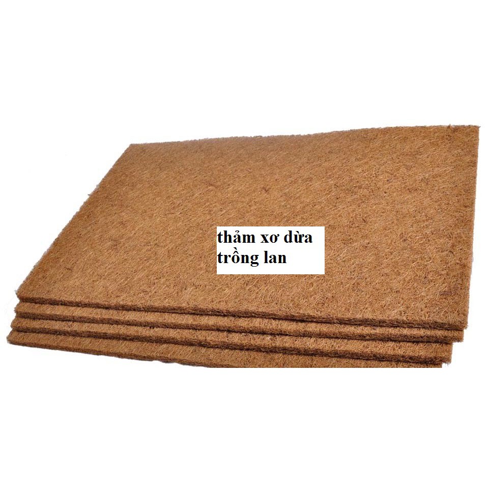 Thảm xơ dừa ép kích thước 50x50cm trồng lan, ươm cây