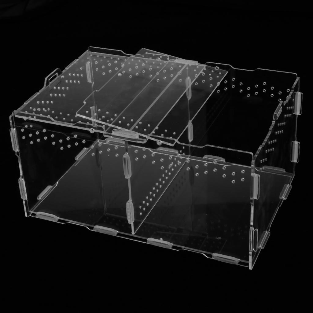 Acrylic Feeding Container Breeding Box An Room for Reptile