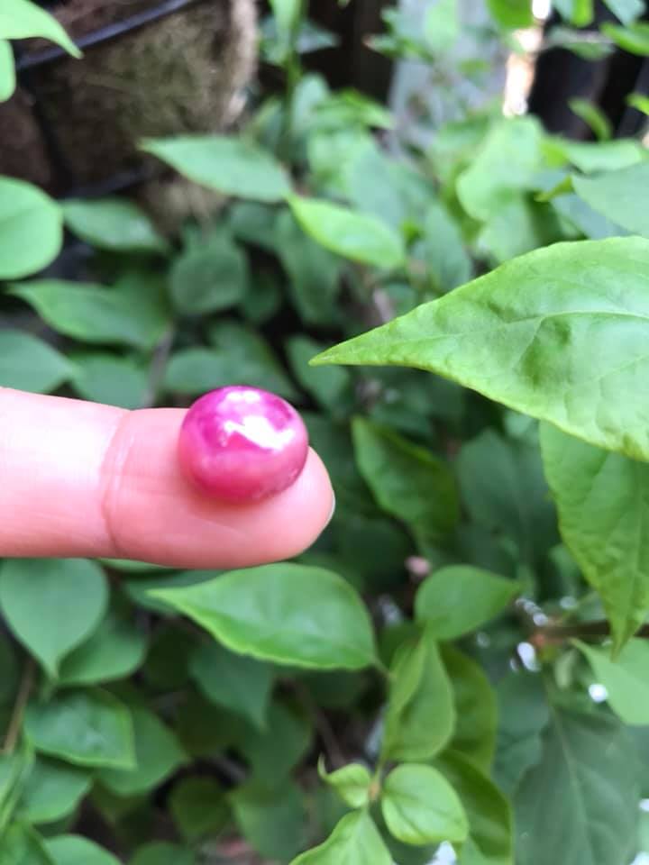 VIÊN ĐÁ RUBBY HỒNG TRÒN ĐẸP NHƯ BÔNG HOA PHÍA TRÊN VIÊN ĐÁ TRÒN DẦY ĐẸP LẮM LUÔN LÀM MẶT NHẪN DÂY CHUYỀN Size DÀI 12mm X NGANG 11mm x DẦY 7mm