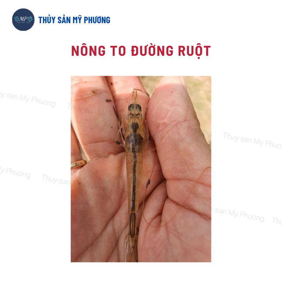 Men tiêu hóa enzyme Laczyme liquid nông to ngừa đường ruột kích thích ăn mồi tăng trọng đề kháng cho tôm thẻ cá lươn ếch