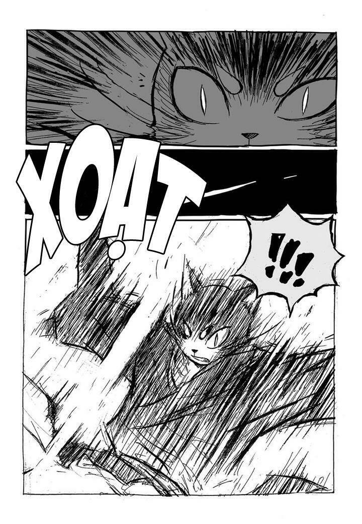 mèo cáo nổi giận chapter 5 6