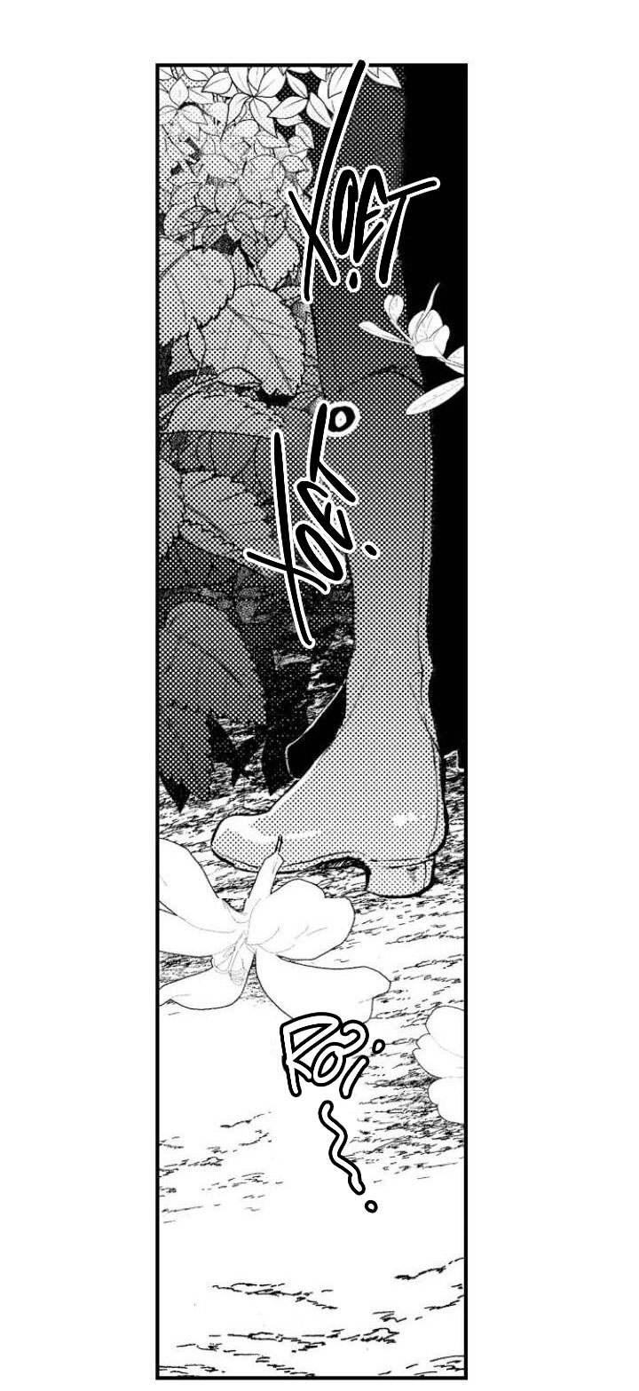 tiếng gọi của tình yêu sau trải nghiệm cận tử chapter 19 4