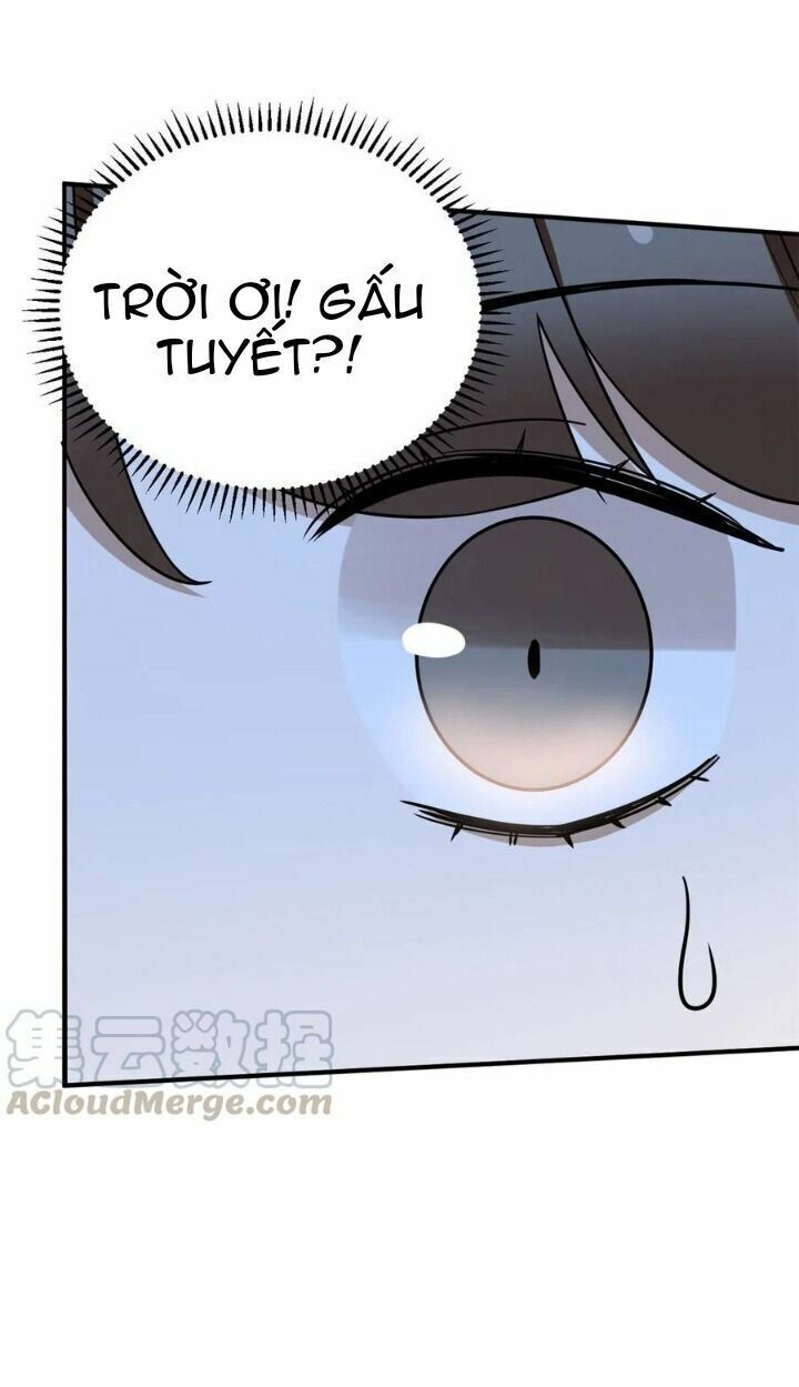 độc bộ thiên hạ: đặc công thần y chapter 252 26