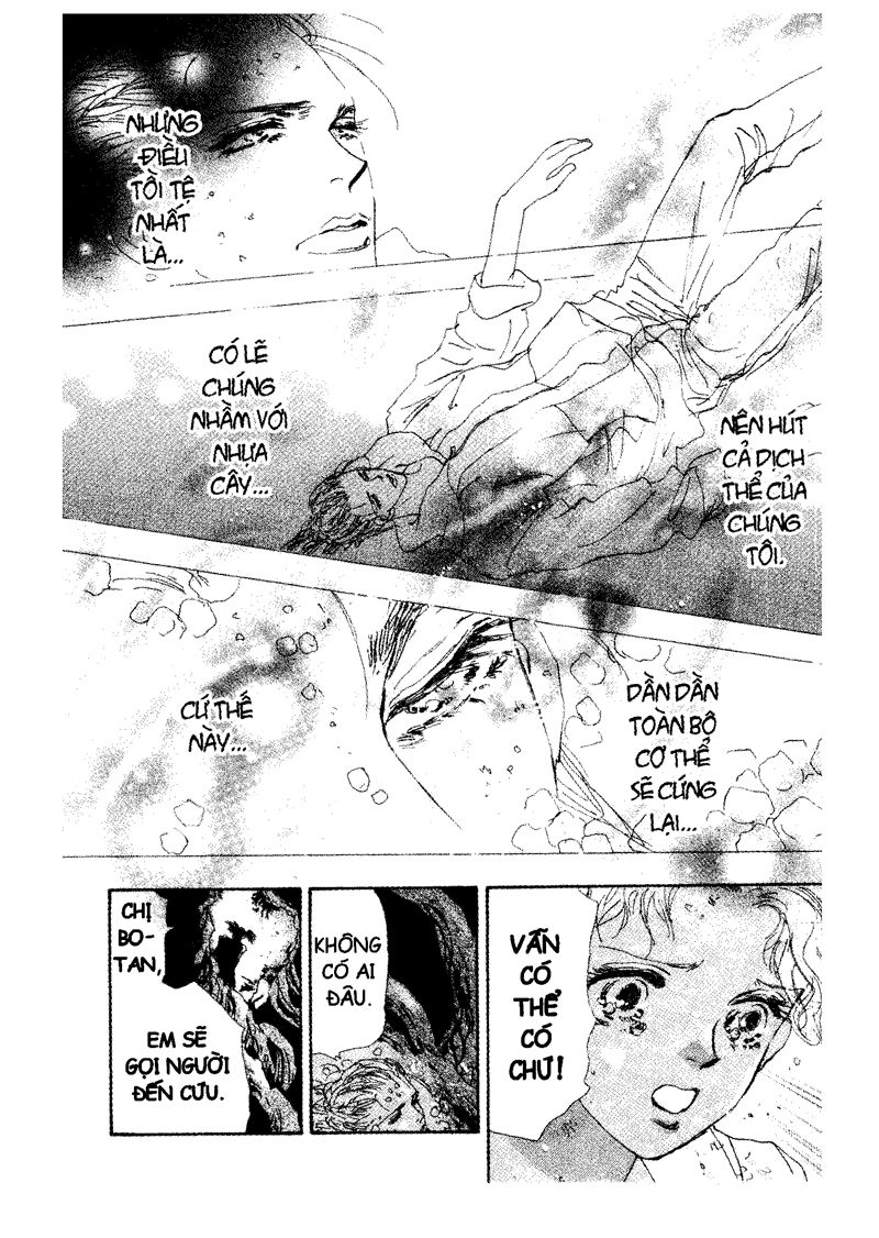 mầm sống chapter 65 12