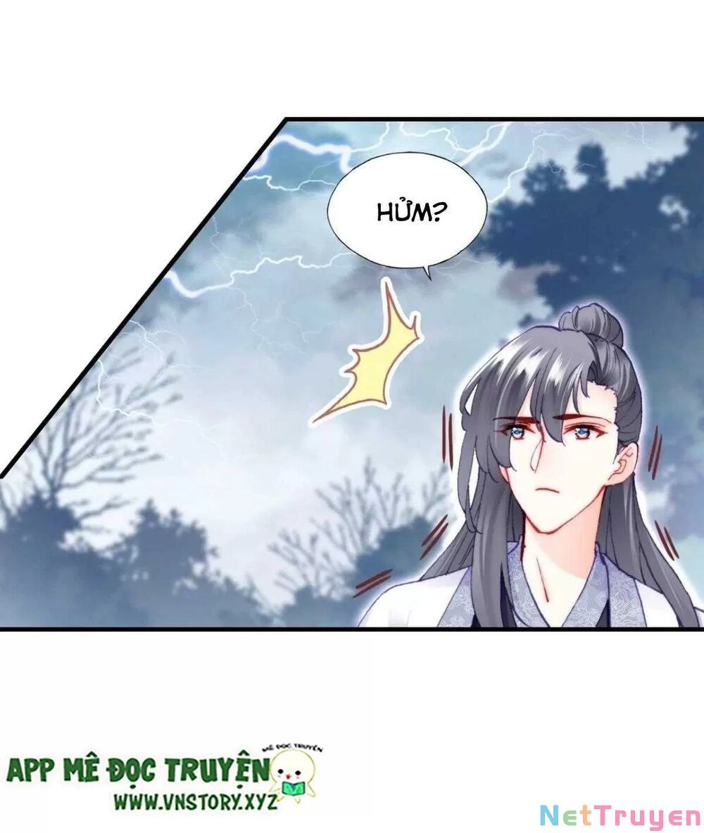 lại bị bệnh chiều chuộng quấn lấy chapter 65 81