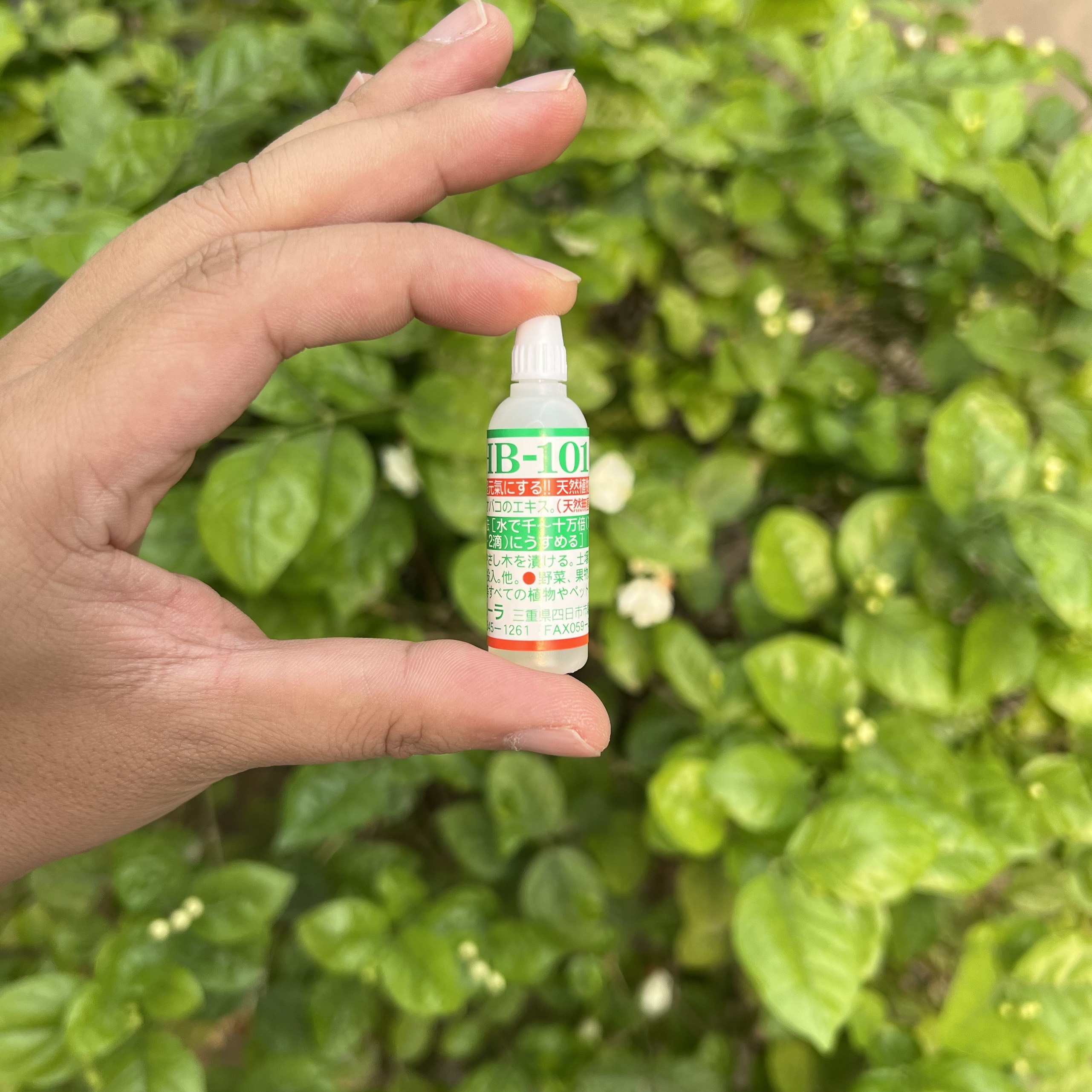 Kích Rễ HB 101 Nhật Bản, Phân hữu cơ Organic tăng năng suất giải độc đất ra rễ nhanh Flora Plant Vitalizer 6ml