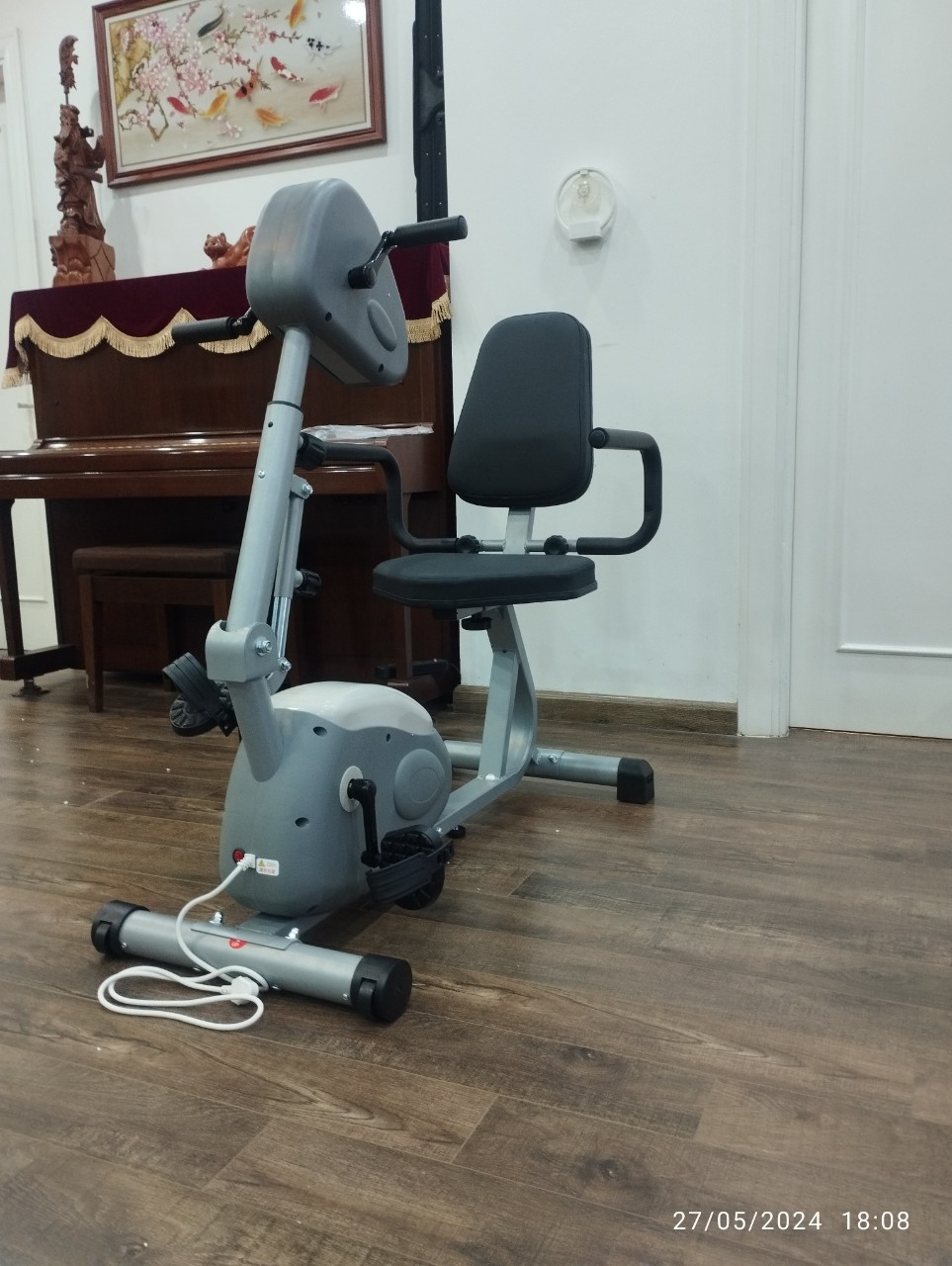 Xe đạp điện Dual E-Bike dành cho người chân tay yếu, hỗ trợ tập luyện bằng điện