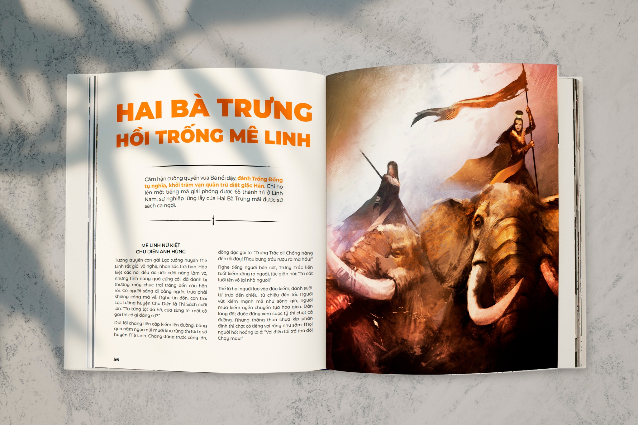 Sách Việt Sử Kiêu Hùng (bìa cứng) - Bộ sách tâm huyết của thầy Trần Việt Quân