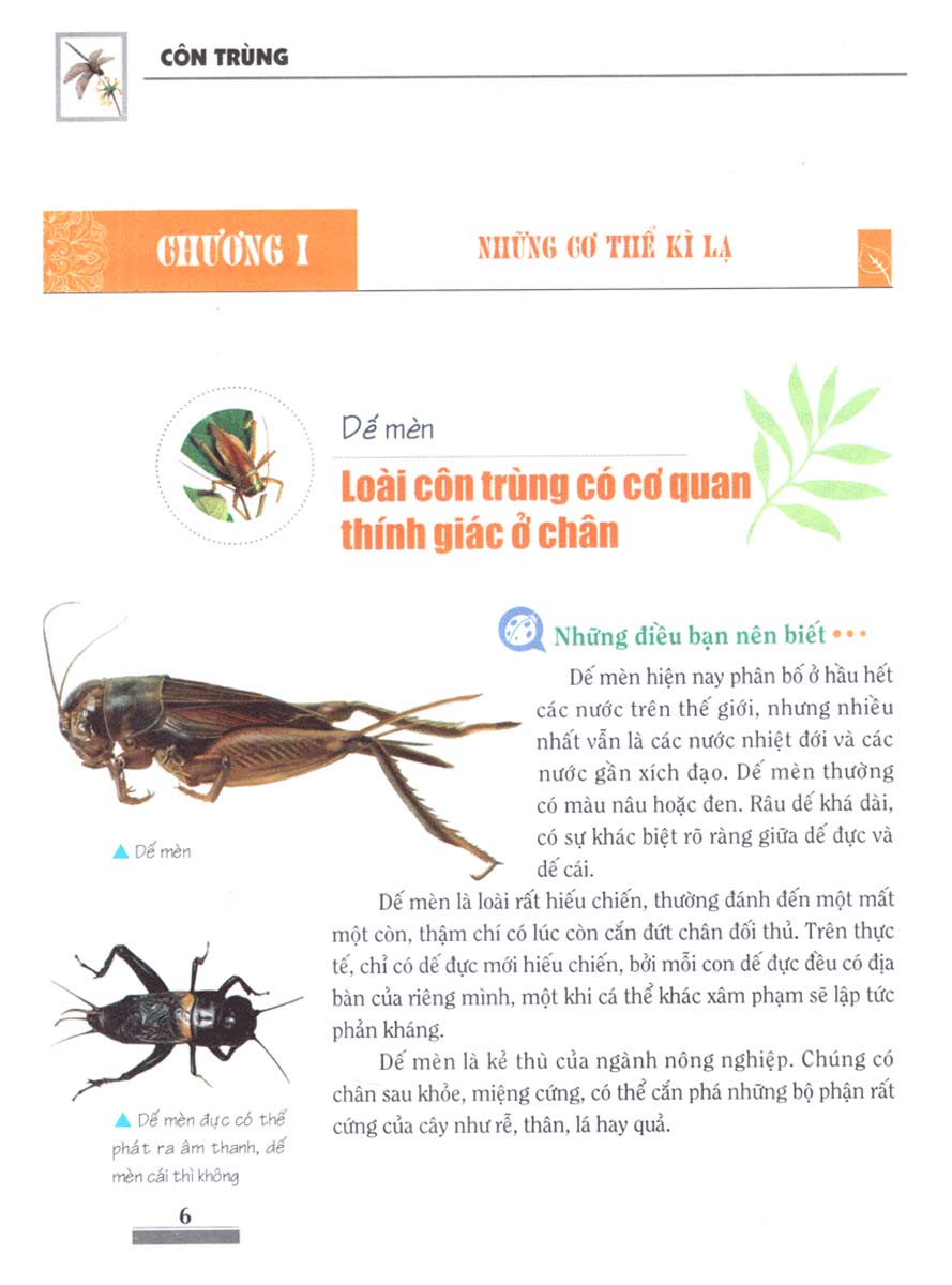 Khám Phá Bí Ẩn Thế Giới Tự Nhiên Dành Cho Học Sinh : Côn Trùng_ML