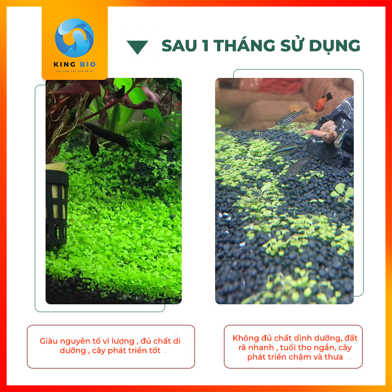 Phân nền thủy sinh - đất bùn cỏ nước cao cấp