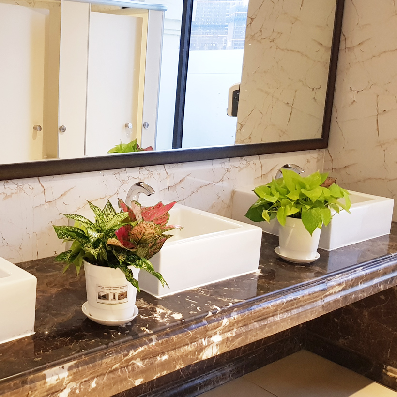 Chậu trồng cây trong nhà cao cấp Minigarden Basic Pot S nhập khẩu Châu Âu, Nhựa PP Chống UV, có khả năng tự hút nước và thoát nước giúp cây sống tốt mà không cần chăm sót